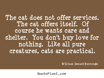 Make personalized picture sayings about love - The cat does not offer services. the cat offers itself. of course he..