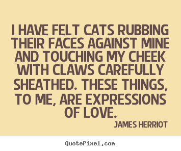 James Herriot poster quote - I have felt cats rubbing their faces against mine.. - Love quote