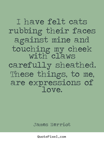 I have felt cats rubbing their faces against.. James Herriot famous love quote