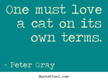 Customize picture quotes about love - One must love a cat on its own terms.