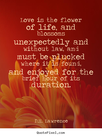 Love quotes - Love is the flower of life, and blossoms unexpectedly..