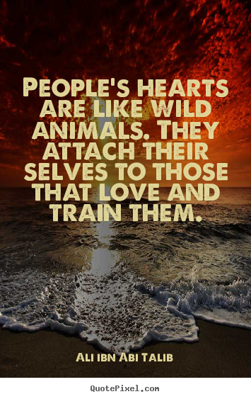 Ali Ibn Abi Talib picture quotes - People's hearts are like wild animals. they attach their selves.. - Love sayings