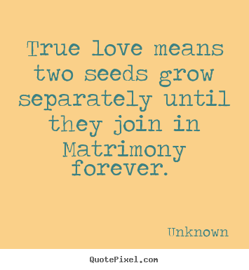 Quotes about love - True love means two seeds grow separately until they..
