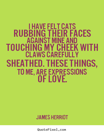 Love quote - I have felt cats rubbing their faces against mine and..