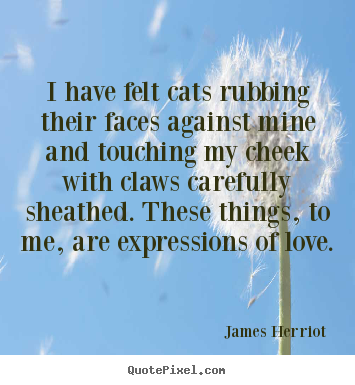 I have felt cats rubbing their faces against.. James Herriot top love quote
