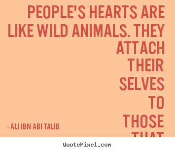 Ali Ibn Abi Talib picture quote - People's hearts are like wild animals. they attach their.. - Love quotes