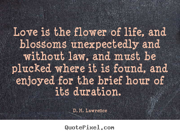 D. H. Lawrence picture sayings - Love is the flower of life, and blossoms unexpectedly and.. - Love quote