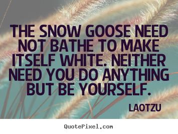 Diy picture sayings about love - The snow goose need not bathe to make itself white. neither..