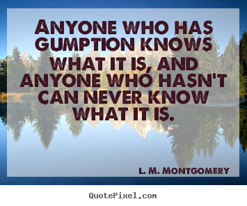 Success quote - Anyone who has gumption knows what it is, and anyone who hasn't can never..