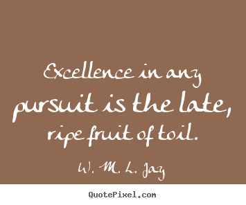 Success quotes - Excellence in any pursuit is the late, ripe fruit of toil.