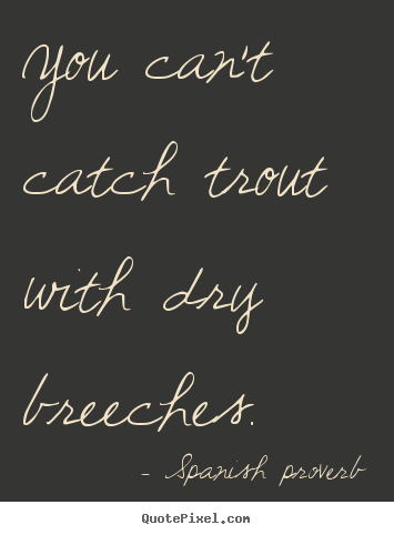 Spanish Proverb picture quotes - You can't catch trout with dry breeches. - Success quotes