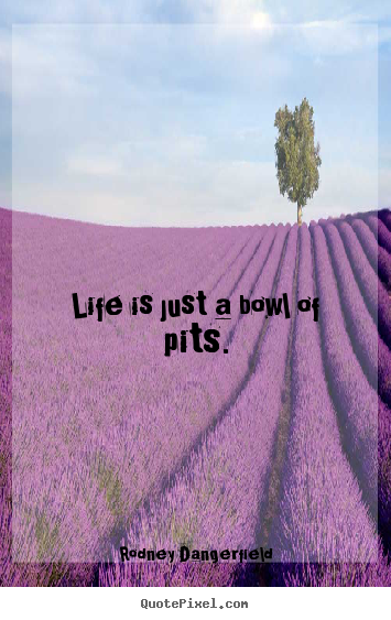 Quotes about success - Life is just a bowl of pits.