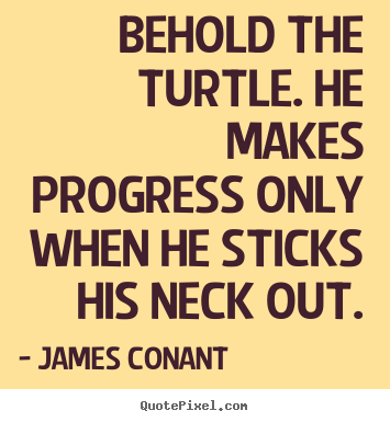 Quotes about success - Behold the turtle. he makes progress only when..