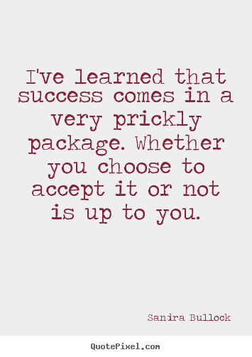 Success quotes - I've learned that success comes in a very..