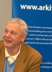David Attenborough Quotes AboutSuccess