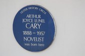 Joyce Cary Quote Picture