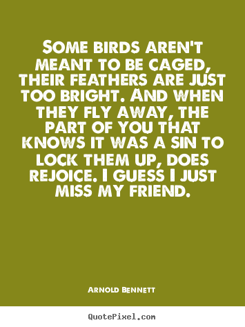 Friendship quote - Some birds aren't meant to be caged, their feathers..
