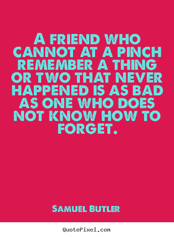 Friendship quotes - A friend who cannot at a pinch remember a thing or..