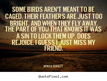 Friendship quote - Some birds aren't meant to be caged, their feathers are just too bright...