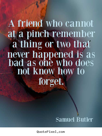 Samuel Butler picture quotes - A friend who cannot at a pinch remember a thing or two that never.. - Friendship quotes