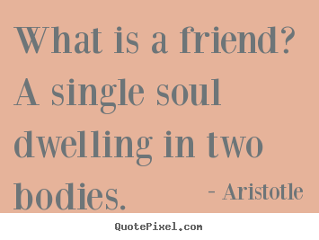 Friendship quotes - What is a friend? a single soul dwelling in two bodies.