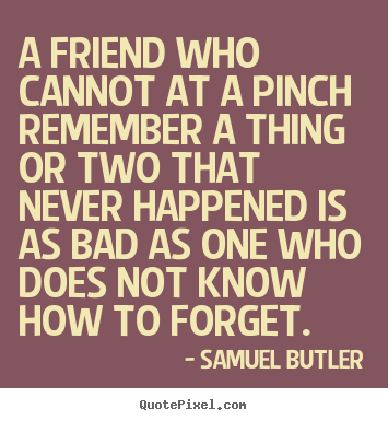 Samuel Butler poster quotes - A friend who cannot at a pinch remember a thing or two that.. - Friendship quotes