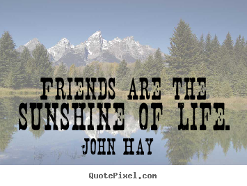 Friends are the sunshine of life. John Hay great friendship quotes