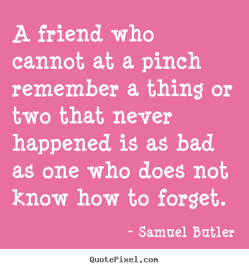 Friendship quote - A friend who cannot at a pinch remember a thing or two that..