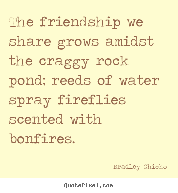 The friendship we share grows amidst the craggy rock.. Bradley Chicho great friendship quotes