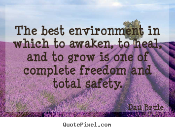 Dan Brule picture quotes - The best environment in which to awaken, to.. - Inspirational quotes