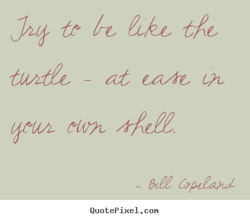 Quotes about inspirational - Try to be like the turtle - at ease in your own shell.