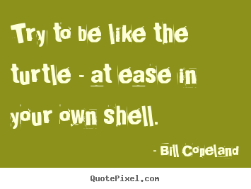 Try to be like the turtle - at ease in your own shell. Bill Copeland greatest inspirational quote