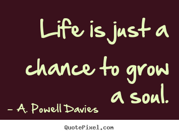 Life quotes - Life is just a chance to grow a soul.