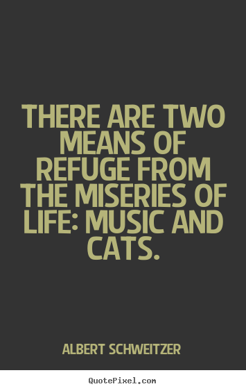 Quote about life - There are two means of refuge from the miseries of life:..