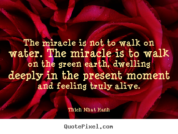 Thich Nhat Hanh picture quotes - The miracle is not to walk on water. the miracle is to walk on the.. - Life quote
