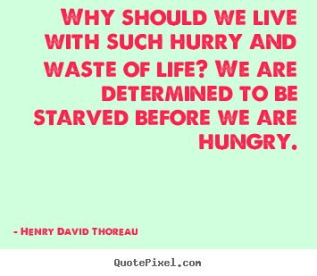Life quote - Why should we live with such hurry and waste of life? we..