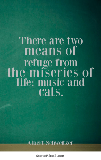 Sayings about life - There are two means of refuge from the miseries of life: music..
