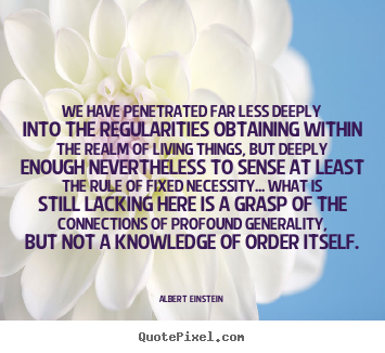 We have penetrated far less deeply into the.. Albert Einstein  life quote