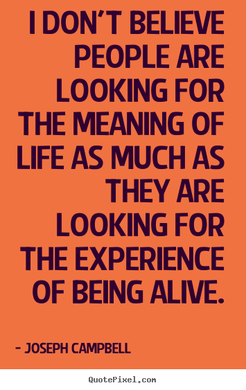 Quotes about life - I don't believe people are looking for the meaning of life as much..