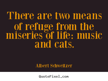 Life quotes - There are two means of refuge from the miseries of..
