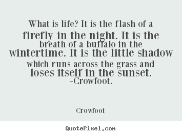What is life? it is the flash of a firefly.. Crowfoot  life quotes