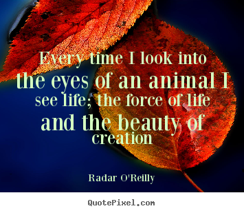 Every time i look into the eyes of an animal.. Radar O'Reilly greatest life quote
