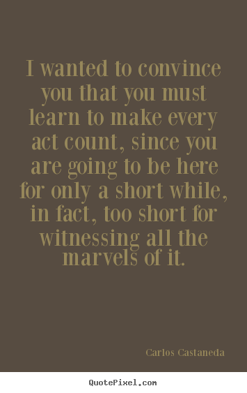 Carlos Castaneda picture quote - I wanted to convince you that you must learn to make.. - Life quotes
