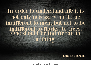Remy De Gourmont poster quotes - In order to understand life it is not only necessary.. - Life quotes