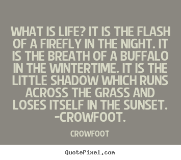 What is life? it is the flash of a firefly in the.. Crowfoot great life quote