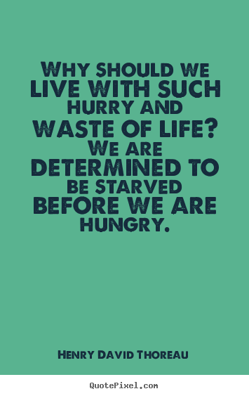 Why should we live with such hurry and waste.. Henry David Thoreau  life quotes