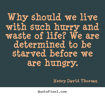 Quotes about life - Why should we live with such hurry and waste of life?..