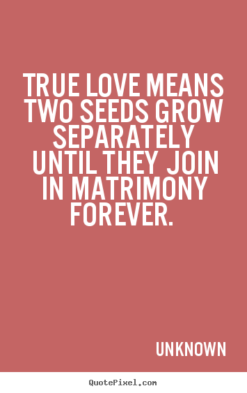 Love quotes - True love means two seeds grow separately..