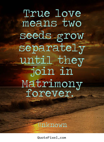 Quotes about love - True love means two seeds grow separately until they join in..