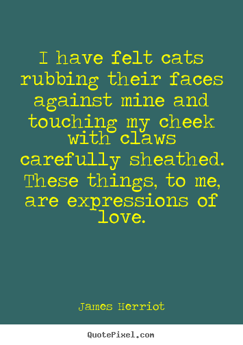 Quotes about love - I have felt cats rubbing their faces against mine and..